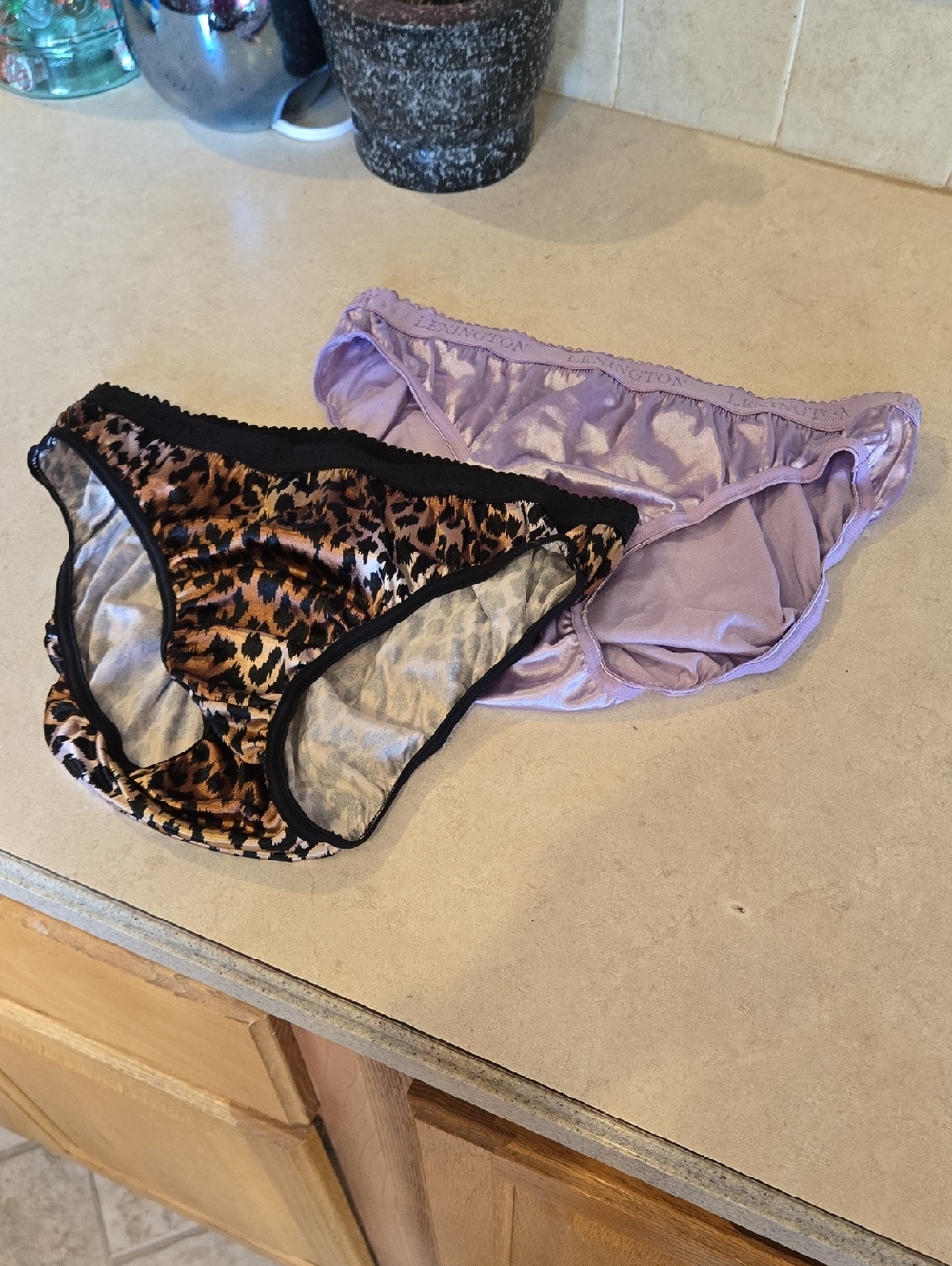 2 Pair Bundle Of Lexington Bikini Panties